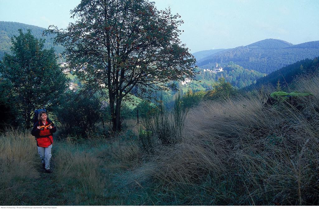 Schieferhof Ξενοδοχείο Schmallenberg Εξωτερικό φωτογραφία